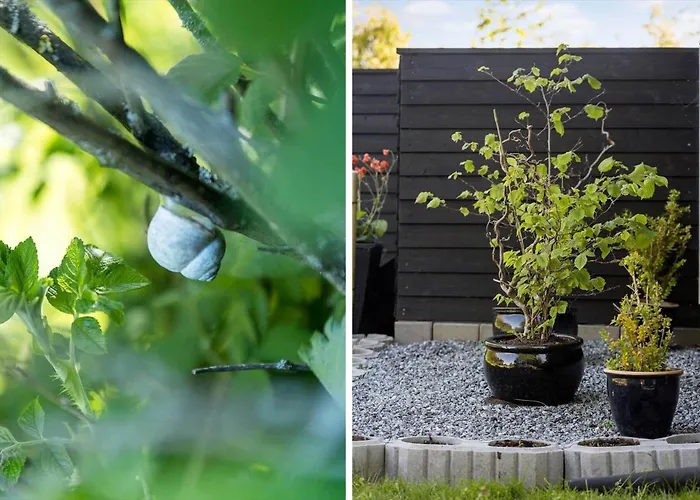 Sj258-haderslev-diernaes-strandby-114 Dom wakacyjny *